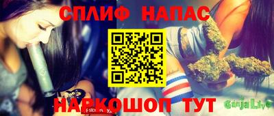 альфа пвп Заводоуковск